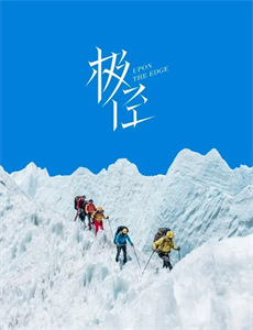 夫人她又算卦了