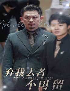 围桌之心:莎莉的第二人生