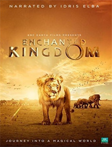 情瑟头皮护理店