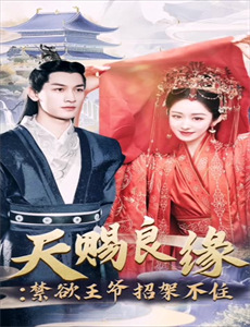 斯特莱克探案集 第三季