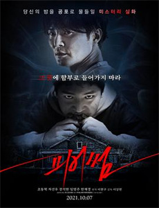 瑞皮利卡冒险世界英文版