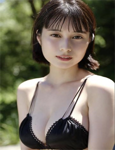 秘密图纸